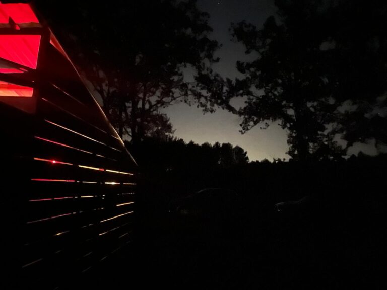 Expérience immersive en forêt nocturne